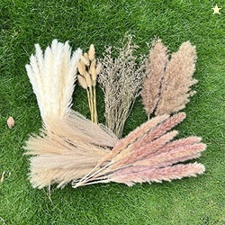 100Pcs Pampas Grass Boho Home Decor 17 inch Natural Dried Flowers-Pamp