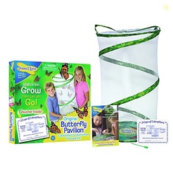 Insect Lore Butterfly Garden | Pavilion 24" with Voucher | 2ft Tall Ha