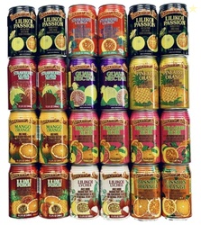 Hawaiian Sun Premium Tropical Juice Drink Party Bundle of 10 Assorted 