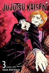 Jujutsu Kaisen, Vol. 3: Young Fish And Reverse Punishment