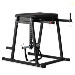 Titan Fitness Economy H-PND, Reverse Hyperextensions Lower Body Machin