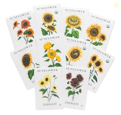 Sereniseed Sunflower Seeds Collection (10-Pack)  100% Non GMO, Open Po