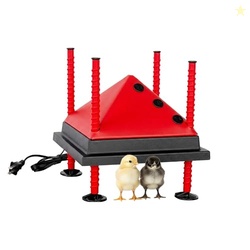 RentACoop 10x10 Adjustable Heating Plate with Bonus Foldable Anti-Roos
