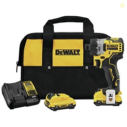 DEWALT XTREME 12V MAX* Cordless Screwdriver, 1/4-Inch, 2-Ah Batteries 