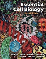 Essential Cell Biology