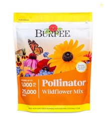 Burpee Wildflower 25,000 Bulk, 1 Bag, 18 Varieties of Non-GMO Flower S