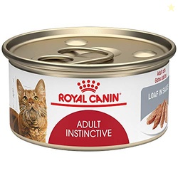 Royal Canin Feline Health Nutrition Adult Instinctive Adult Loaf in Sa
