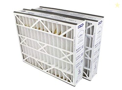 Trion Air Bear 255649-102 (2-Pack) - 20" x 25" x 5" Pleated Air Filter