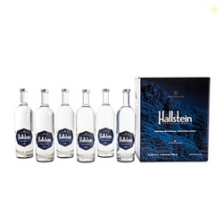 Hallstein Artesian Natural Alkaline Still Water (Non-Sparkling) - 25.4