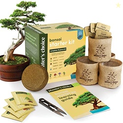 Planter's Choice Bonsai Tree Kit for Beginners & Plant Lovers - Grow Y