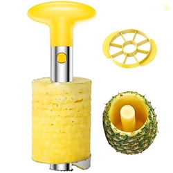 SameTech Easy Kitchen Tool Stainless Steel Fruit Pineapple Peeler Core