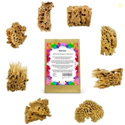 NAROA Artist Natural Sea Sponges for Painting 8 Pack | Unbleached Uniq