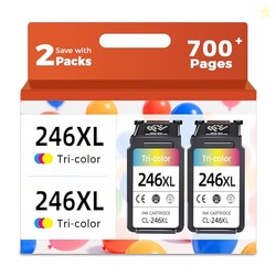 Relcolor Compatible Ink Cartridge Replacement for Canon 245XL Color 24