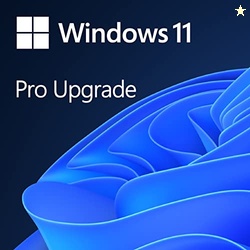 Windows 11 Pro Upgrade, from Windows 11 Home (Digital Download)