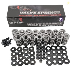 Brian Tooley Racing BTR LS .660" Dual Valve Springs Platinum Kit with 
