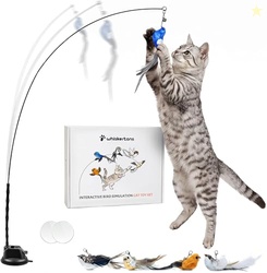 Whiskertons Interactive Bird Simulation Cat Toy Set, Interactive Cat T