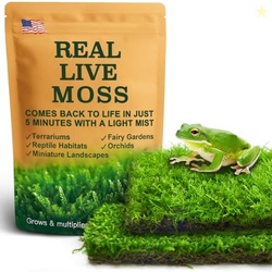 Live Moss Duo Pack 2 Types of Real Live Sheet/Sphagnum Moss for Terrar