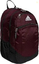 Striker Team Sports Backpack for soccer and more workout bag for men a