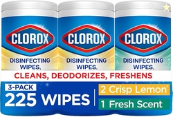 Clorox Disinfecting Wipes Back to School Variety Pack 75 Count Each, P