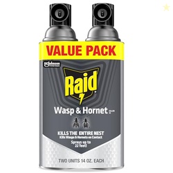 Raid Wasp & Hornet Killer Bug Spray, Kills Entire Nest, 14 oz, 2 Count