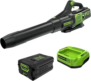 Greenworks 60V Electric Leaf Blower 610 CFM, 2.5 Ah Battery and Charge
