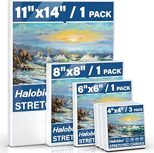 Halobios 6 Packs Stretched Canvases for Painting with 4x4 Inch 6x6 Inc