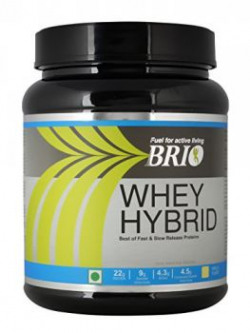 Brio Whey Hybrid - 500 g (Chocolate)