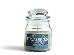 Hosley Eucalyptus Mint Highly Fragranced, 2.65 Oz wax, Jar Candle