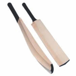 Byson Weapon English Willow Cricket Bat, Short Handle