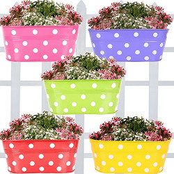 Trustbasket Set Of 5 -Dotted Oval Railing Planter - (Magenta, Purple, Green, Red, Yellow)
