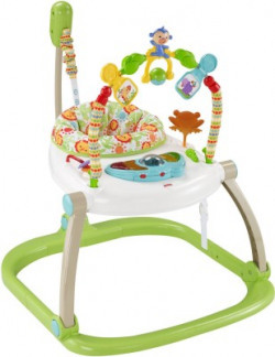 Fisher-Price Rainforest Friends Spacesaver Jumperoo CHN44(Multicolor)