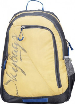 Skybags Groove 6 25 L Backpack