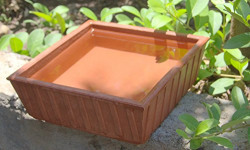 Nature Forever Earthen Pot (Teracotta Bird Bath) - 8 inch x 8 inch