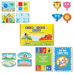Einstein Box for 1 year olds (Learning and educational games, books and puzzles for 1 year old boys and girls - Birthday gifts and toys for baby, children)