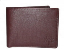 E MALL Men Brown Artificial Leather Wallet(9 Card Slots)