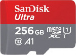 SanDisk 256GB Class 10 MicroSD Card (SDSQUAR-256G-GN6MA)