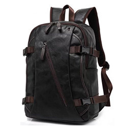 Fur Jaden 20 Ltrs Black Casual Backpack (BM21_Black)