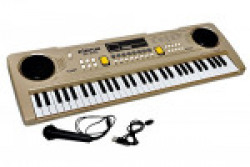 Sunshine Toyshine 61 Keys Piano with USB Charging and Microphone (Multicolour)