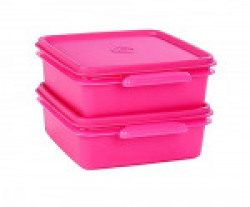 Signoraware Small Container Set, 850ml, Set of 2, Pink