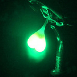 Bicycle Light Cycling Bike Rear Light Taillight Egg Bicycle Accessories Back Heart Light Signal Warning Waterproof ( GREEN )