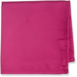 Peter England Men's Handkerchief (PS31893330_Pink_0)