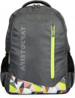 Aristocrat Wego 1 School Bag 34 L Backpack(Grey)