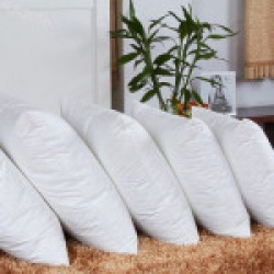 JDX Solid Chair Cushion Pack of 5(White)