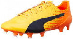 Puma Men's Evospeed 17.Sl S Fg Tricks Colors Football Boots - 11 UK/India (46 EU)