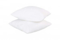 Fashion Hub Cushion/Pillows Fillers/Inserts Pack of 2 (16 x 16 inches)
