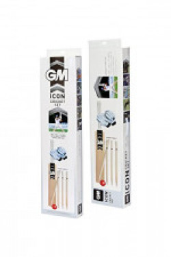 GM Icon with Gloves Cricket Set Size 4