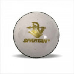 Spartan Cricket Ball Light (2 Panels) Cricket Leather Ball(Pack of 1, White)