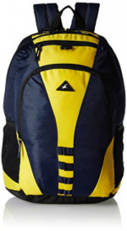 Fastrack 30.36 Ltrs Blue Casual Backpack (A0640NBL01)