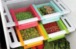 Floraware Plastic Refrigerator Storage Rack Set, Set of 1, Multicolour