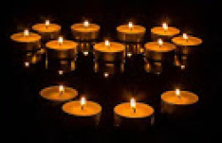Tea Light Floating Candles Pack of 10 - Xclusive Plus